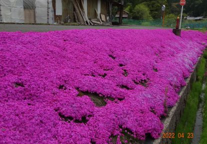 農地の防草シート施工事例 (農道)